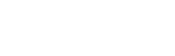 Sayprint data recovery logo